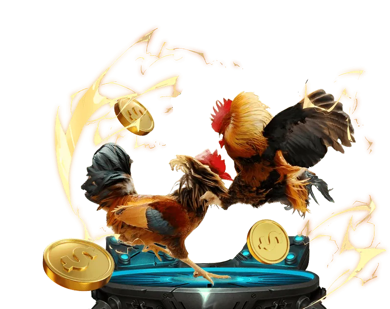 Mẹo và chiến thuật đá gà hiệu quả tại UCW88